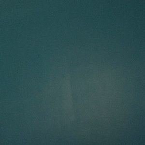 Meet your Posher, Ebony